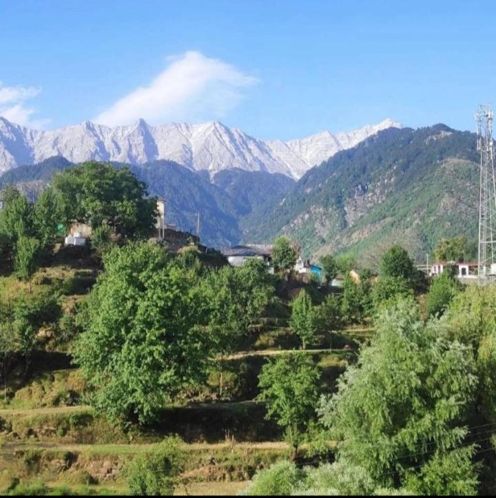 Anchal House Lägenhet Dharamshala Exteriör bild